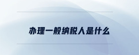 辦理一般納稅人是什么