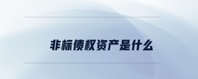 非標(biāo)債權(quán)資產(chǎn)是什么