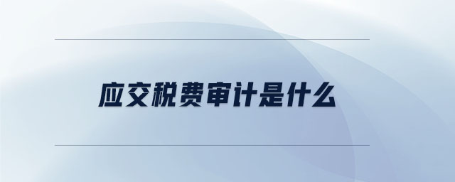 應(yīng)交稅費(fèi)審計是什么