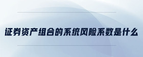 證券資產(chǎn)組合的系統(tǒng)風(fēng)險系數(shù)是什么