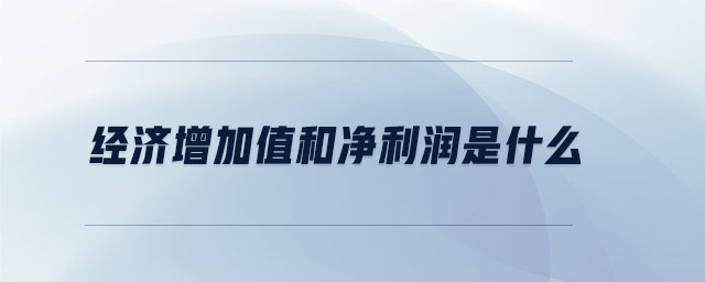 經(jīng)濟(jì)增加值和凈利潤是什么