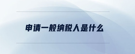 申請(qǐng)一般納稅人是什么