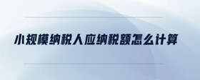 小規(guī)模納稅人應(yīng)納稅額怎么計算
