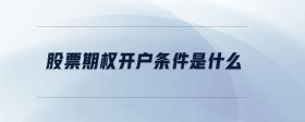 股票期權(quán)開(kāi)戶(hù)條件是什么