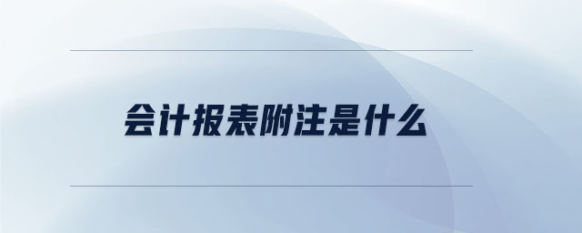 會(huì)計(jì)報(bào)表附注是什么