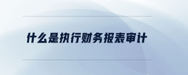 什么是執(zhí)行財務(wù)報表審計