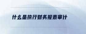 什么是執(zhí)行財(cái)務(wù)報(bào)表審計(jì)