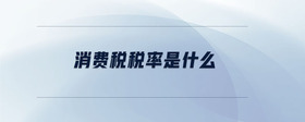 消費稅稅率是什么