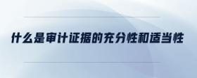 什么是審計證據(jù)的充分性和適當性