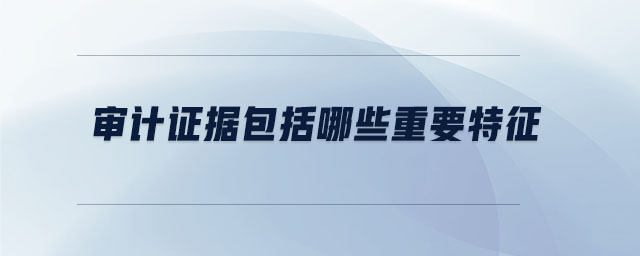 審計(jì)證據(jù)包括哪些重要特征