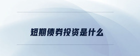 短期債券投資是什么