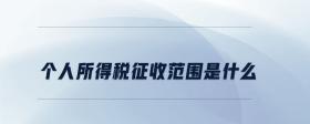 個(gè)人所得稅征收范圍是什么