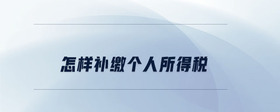 怎樣補繳個人所得稅