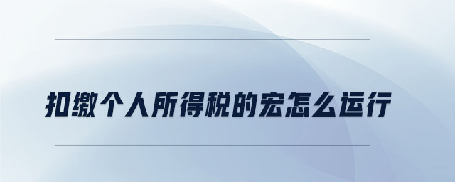 扣繳個人所得稅的宏怎么運行