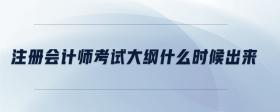 注冊會計師考試大綱什么時候出來