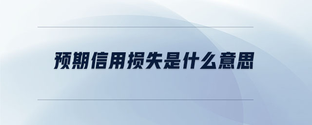 預(yù)期信用損失是什么意思