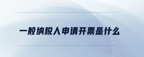 一般納稅人申請開票是什么