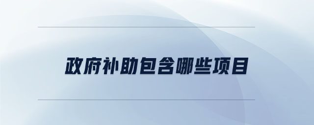 政府補(bǔ)助包含哪些項目