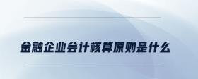 金融企業(yè)會計(jì)核算原則是什么