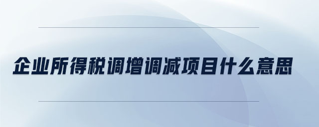 企業(yè)所得稅調增調減項目什么意思