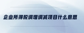 企業(yè)所得稅調(diào)增調(diào)減項目什么意思