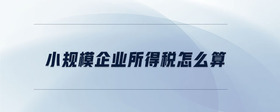小規(guī)模企業(yè)所得稅怎么算