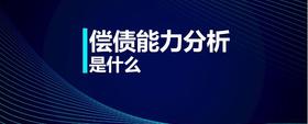 償債能力分析是什么