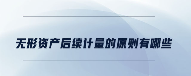 無(wú)形資產(chǎn)后續(xù)計(jì)量的原則有哪些