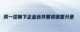 同一控制下企業(yè)合并期初調(diào)整分錄