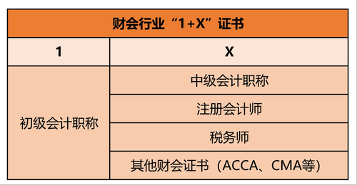 初級(jí)會(huì)計(jì)職稱證書(shū)