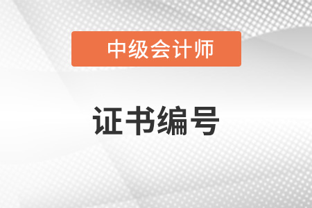 2022年中級(jí)會(huì)計(jì)證書(shū)編號(hào)是哪個(gè)？