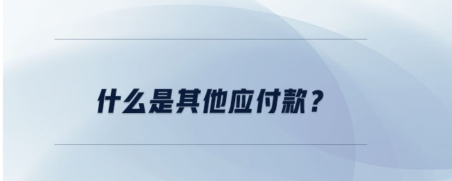 什么是其他應(yīng)付款？