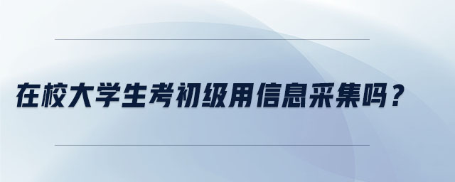 在校大學生考初級用信息采集嗎？