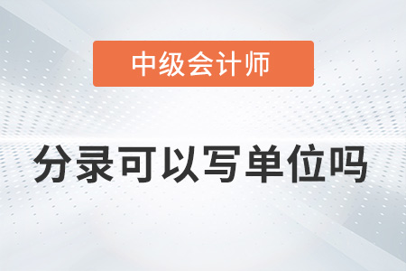 2022年中級(jí)會(huì)計(jì)實(shí)務(wù)分錄后面可以寫單位嗎？
