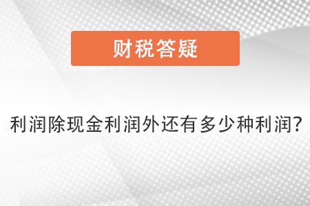 利潤(rùn)除現(xiàn)金外