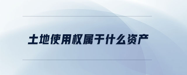 土地使用權屬于什么資產(chǎn)