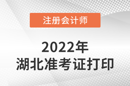 湖北省隨州注冊會計師延考準考證打印時間2022年