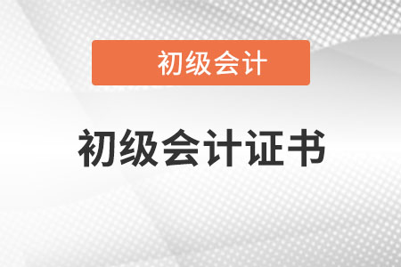 初級(jí)會(huì)計(jì)證是國(guó)家級(jí)職業(yè)資格證書(shū)嗎？