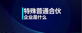 特殊普通合伙企業(yè)是什么