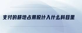 支付的耕地占用稅計入什么科目里
