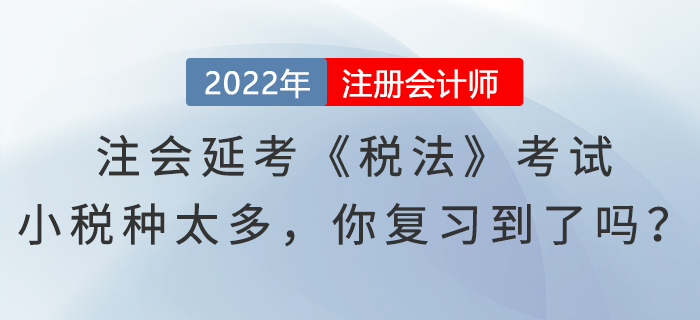 2022年注會延考《稅法》考試，“小稅種”太多，你都復(fù)習到了嗎？