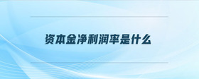 資本金凈利潤率是什么