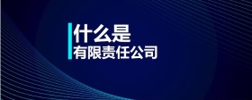什么是有限責任公司