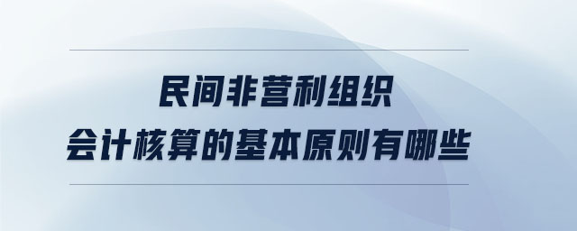 民間非營(yíng)利組織會(huì)計(jì)核算的基本原則有哪些