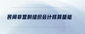 民間非營(yíng)利組織會(huì)計(jì)核算基礎(chǔ)