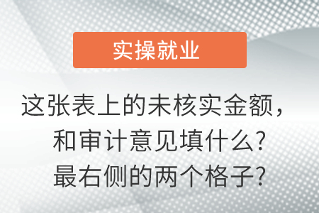 這張表上的未核實金額，和審計意見填什么?最右側(cè)的兩個格子?