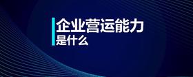 企業(yè)營(yíng)運(yùn)能力是什么