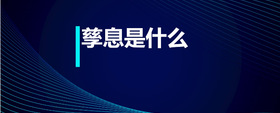孳息是什么