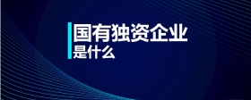國(guó)有獨(dú)資企業(yè)是什么