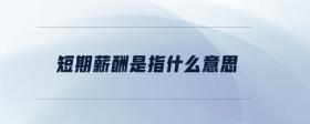 短期薪酬是指什么意思